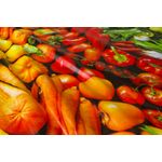 Toalha-De-Mesa-Flanelada-Hortifruti