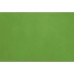 Verde-Limao